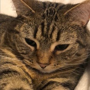 Meet your Posher, Ade